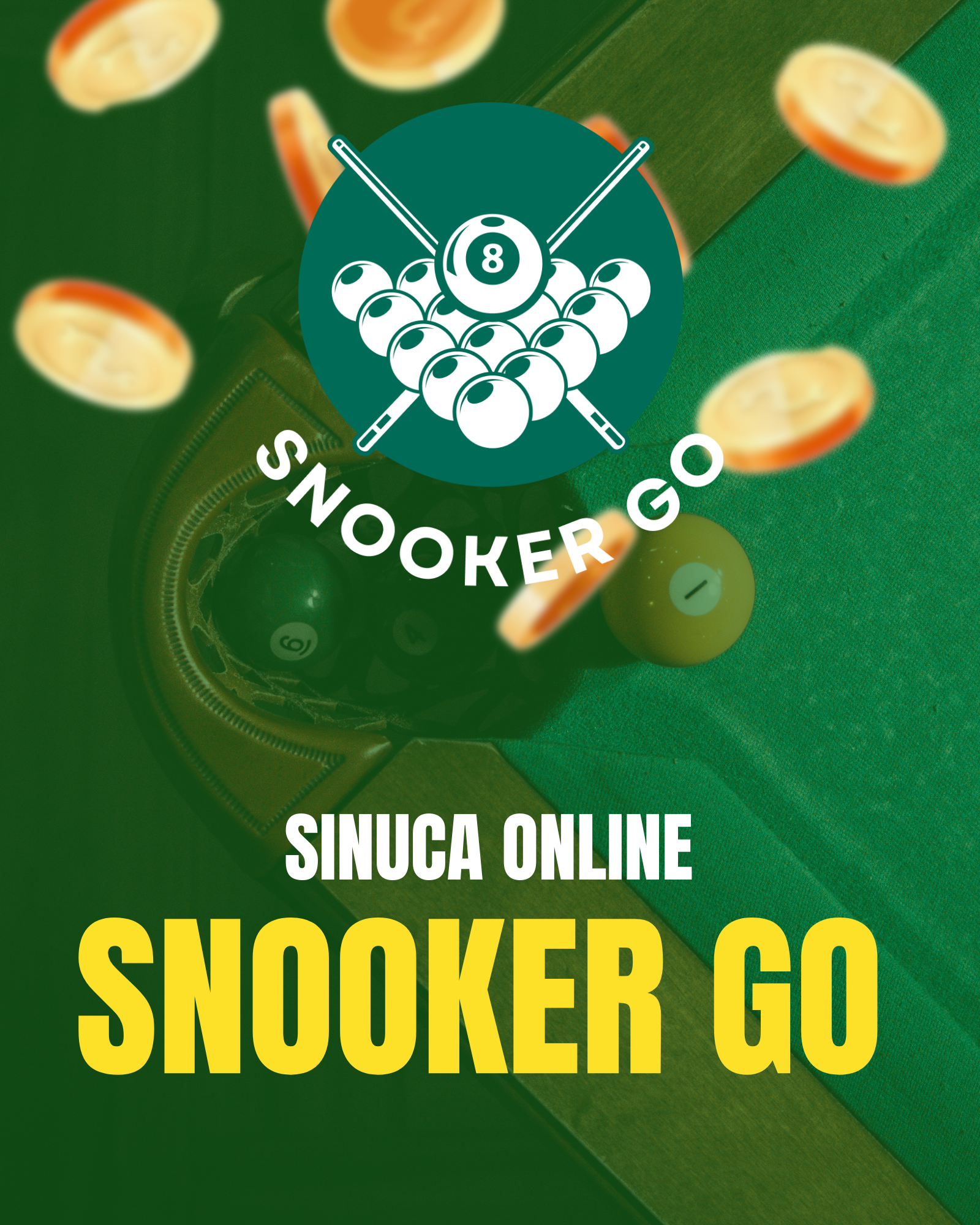 Imagem ilustrativa do jogo Snooker Go